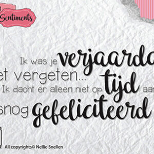SENCS003 Clear stamps Dutch Sentiments Ik was je verjaardag niet.. 97x43mm