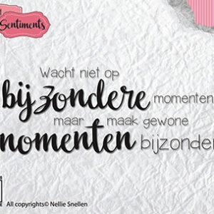 SENCS004 Clear stamps Dutch Sentiments Wacht niet op bijzondere... 85x33mm