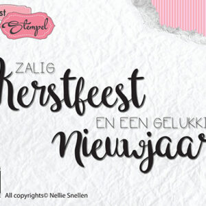 DTCS022-clear stamps zalig-kerstfeest en een gelukkig-nieuwjaar.htm