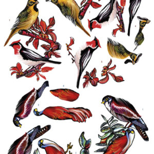 3D Knipvel - Yvon's Art - Birds  CD11304
