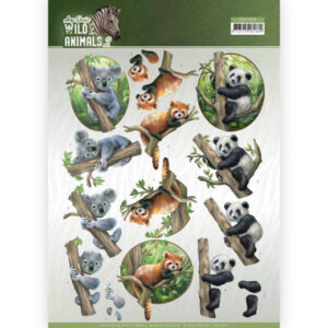 3D Knipvel - Amy Design - Wild Animals - Bears CD11300-HJ17001