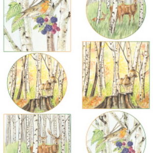 knipvel Tiny's autumn : IT 612