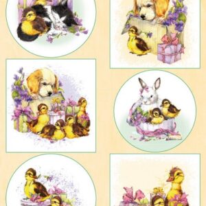 knipvel Ducklings : VK9587