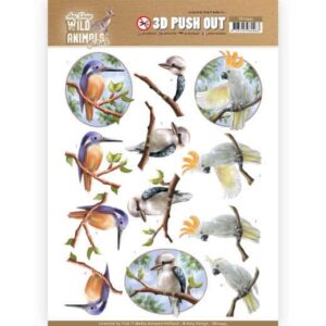 3D Pushout - Amy Design - Wild Animals Outback - Parrot SB10445