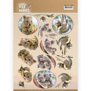 3D Cutting sheet - Amy Design - Wild Animals Outback - Koala CD11485