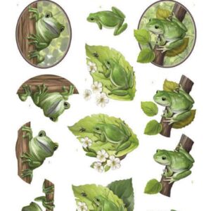 SB10523 3D Push Out - Amy Design - Friendly Frogs - Tree Frogs