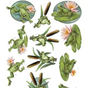SB10525 3D Push Out - Amy Design - Friendly Frogs - Pond Frogs
