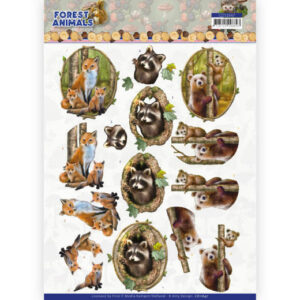 CD11647 3D cutting sheet - Amy Design Forest Animals - Fox