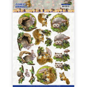 CD11649 3D cutting sheet - Amy Design Forest Animals - Rabbit