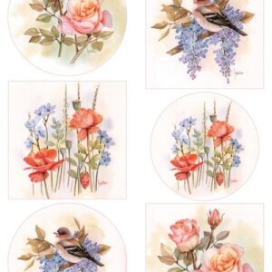 knipvel Mattie's mooiste Roses  MB0201