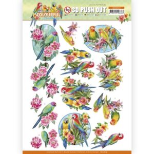3D Push Out - Amy Design - Colourful Feathers - Parrot Amy Design SB10619