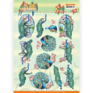 3D Cutting Sheet - Amy Design - Colourful Feathers - Peacock Amy Design CD11765