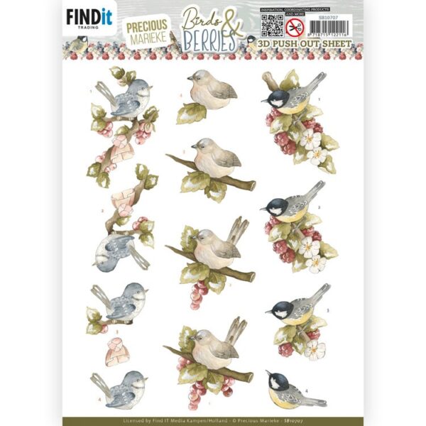 SB10707 3D Push Out Sheet - PM - Birds and Berries - Raspberries