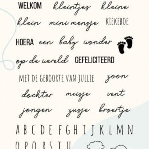 Designed by Anna - Mix and Match Text Stamps - Birth DBACST10003
