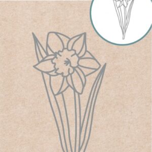 Card Deco Essentials - Cutting Dies - Daffodil CDECD0154
