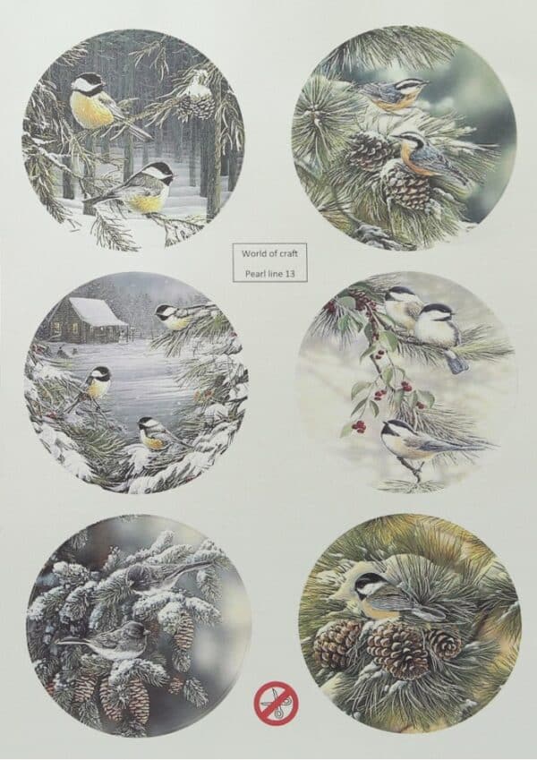 WOC Scenery parelmoer winter birds 1 - Round WOCPL13