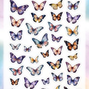 Small Elements - Berries Beauties - Flutter Flair CD12302