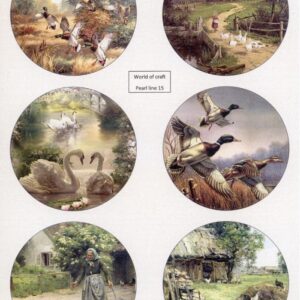 Scenery Parelmoer - WOC - nr15 - Birds - Round WOCPL015