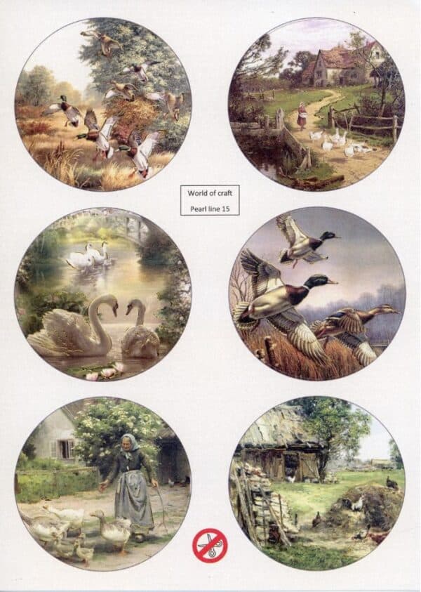 Scenery Parelmoer - WOC - nr15 - Birds - Round WOCPL015