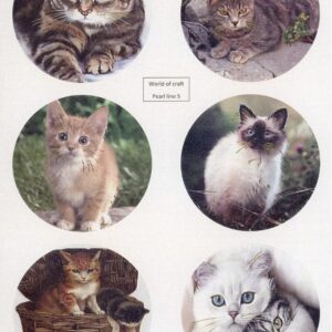 Scenery Parelmoer - WOC - nr05 - Cats - Round WOCPL005