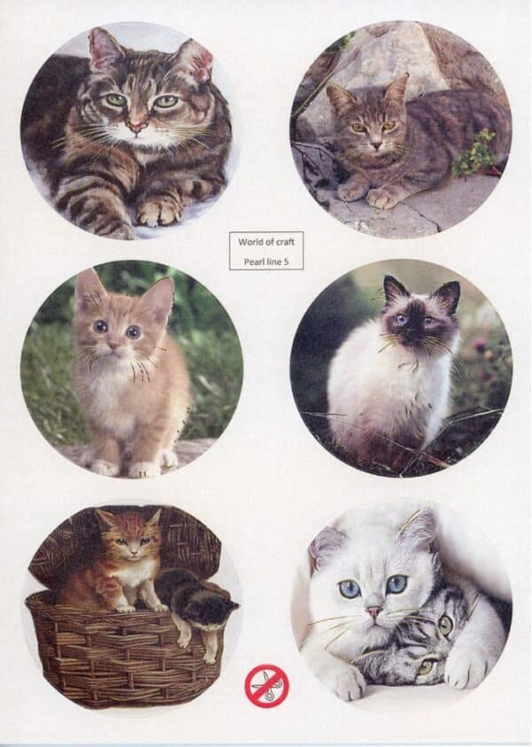 Scenery Parelmoer - WOC - nr05 - Cats - Round WOCPL005
