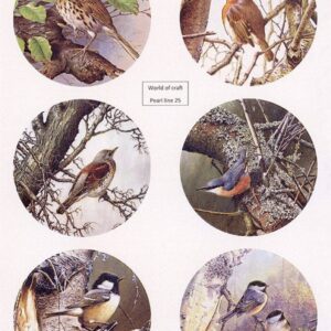 Scenery Parelmoer - WOC - nr25 - Birds - Round WOCPL025