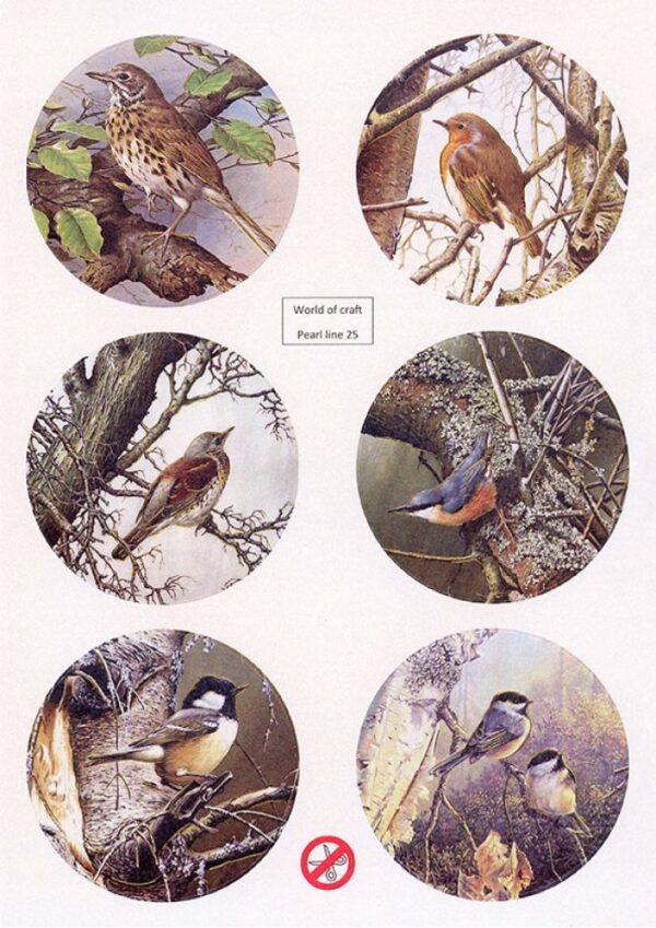 Scenery Parelmoer - WOC - nr25 - Birds - Round WOCPL025