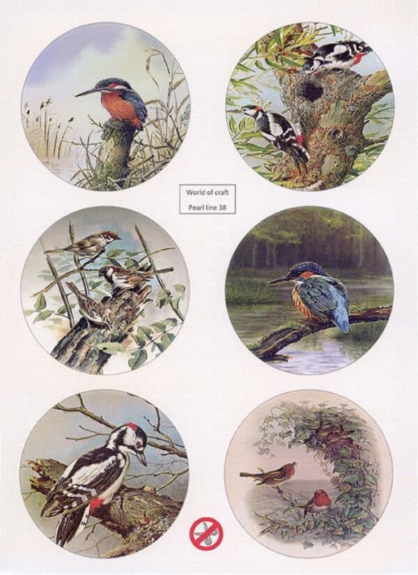 Scenery Parelmoer - WOC - nr38 - Birds - Round WOCPL038
