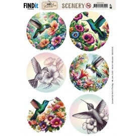 Scenery Push out - Berries Beauties - Colorful Hummingbirds - Round : BBSC10101
