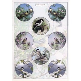 Cutting Sheet - WOC - nr 15 - Spring Garden Birds WOC10015