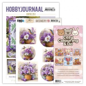 Set Hobbyjournaal 251