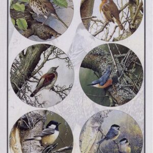 Cutting Sheet - WOC - nr 40 - Woodland Birds WOC10040