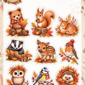 Find It Collection - Cutting Collection - Autumn Charm - Colors of Fall CD12552